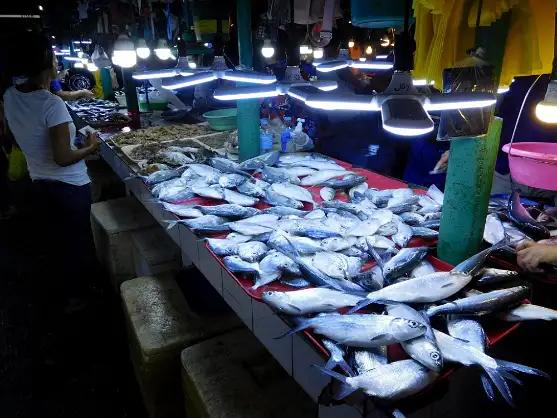 DSCN5684 Fish market, Oroquieta City