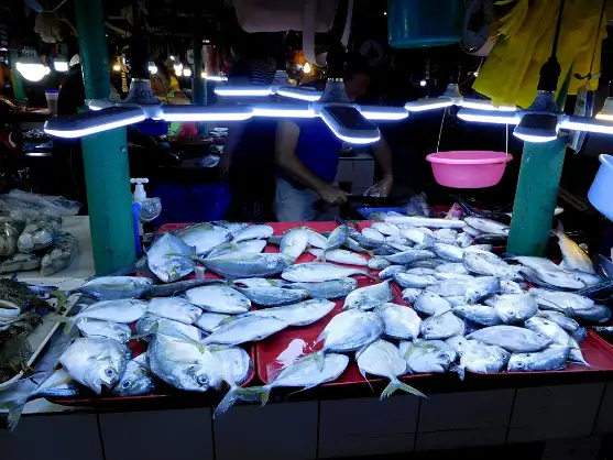 DSCN5686 Fish market, Oroquieta City